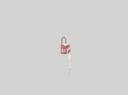 Safety Lock